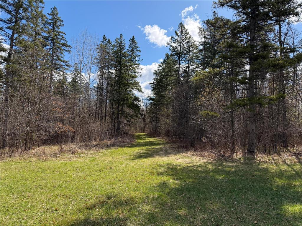 TBD County Road 144 Long Lake Twp MN 56401 7064329 image1