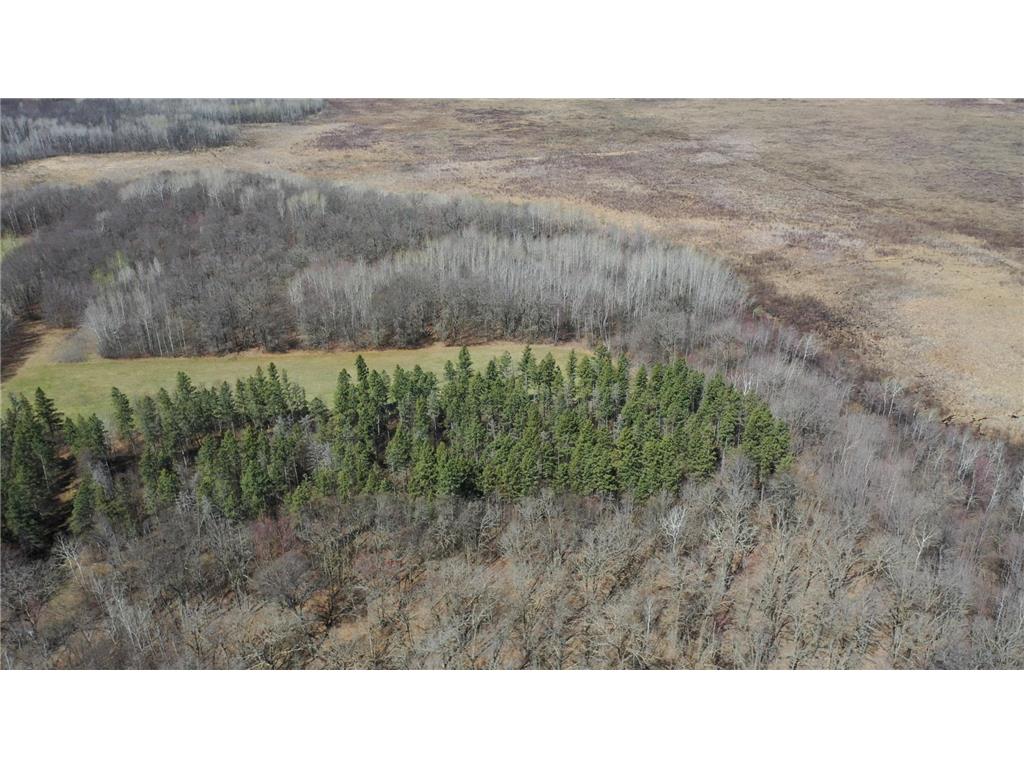 TBD County Road 144 Long Lake Twp MN 56401 7064329 image11