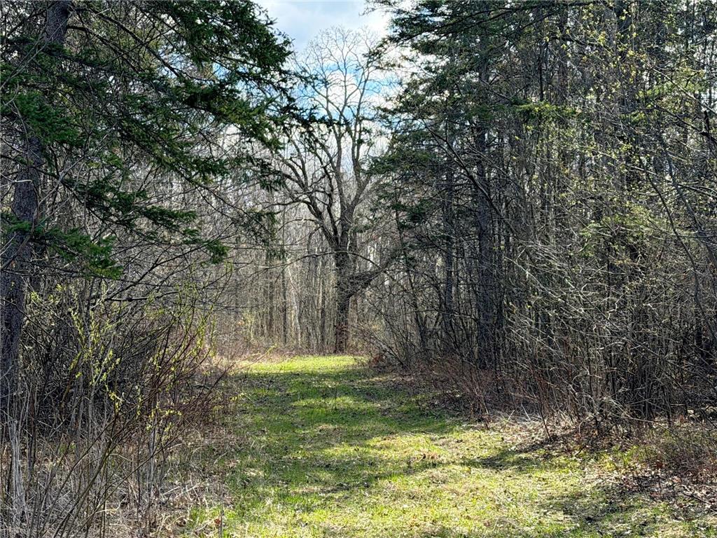 TBD County Road 144 Long Lake Twp MN 56401 7064329 image13