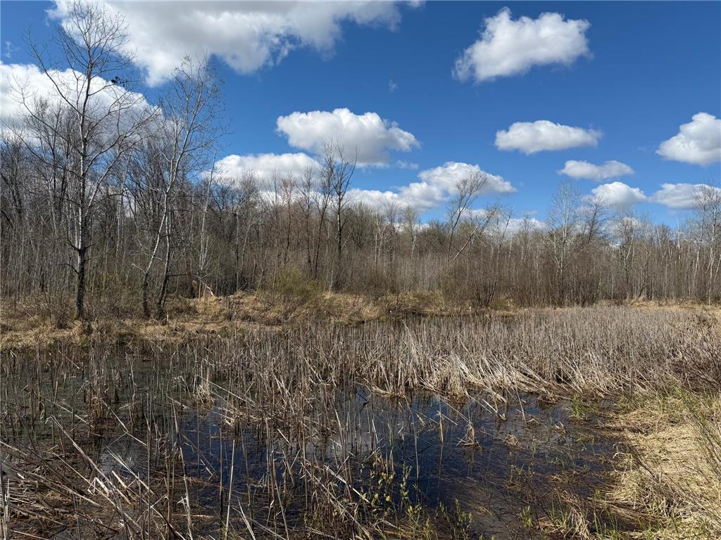 TBD County Road 144 Long Lake Twp MN 56401 7064329 image14