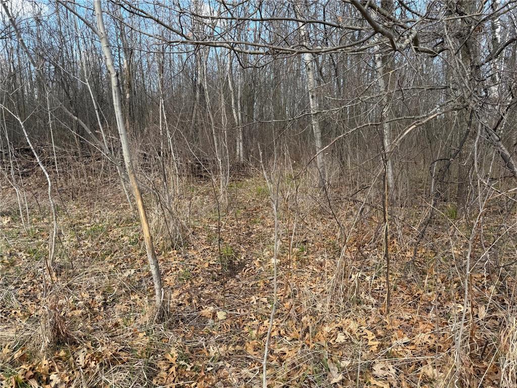TBD County Road 144 Long Lake Twp MN 56401 7064329 image19