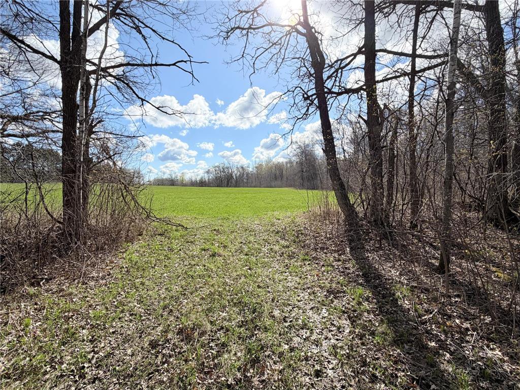 TBD County Road 144 Long Lake Twp MN 56401 7064329 image2