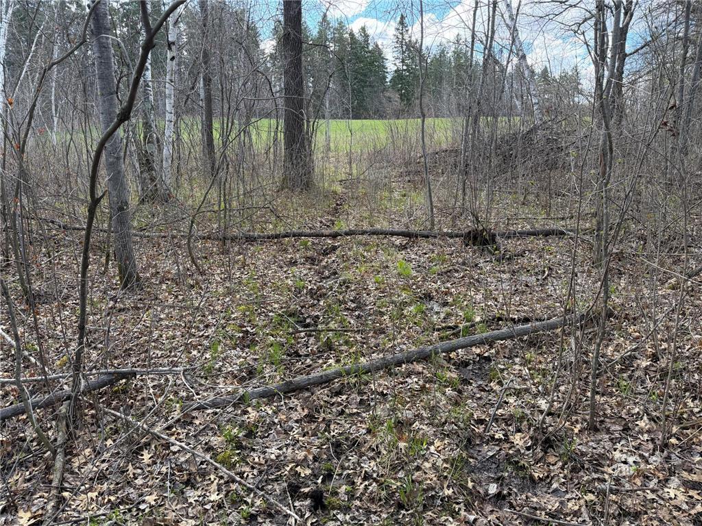 TBD County Road 144 Long Lake Twp MN 56401 7064329 image21