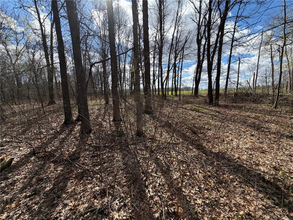 TBD County Road 144 Long Lake Twp MN 56401 7064329 image23