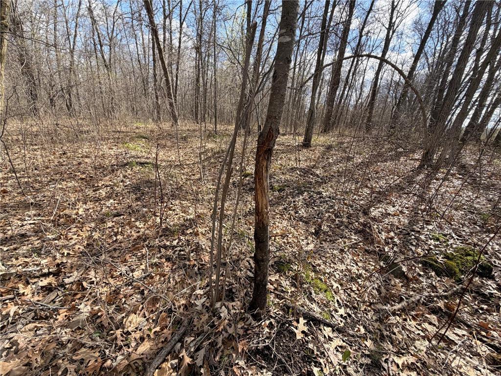 TBD County Road 144 Long Lake Twp MN 56401 7064329 image25