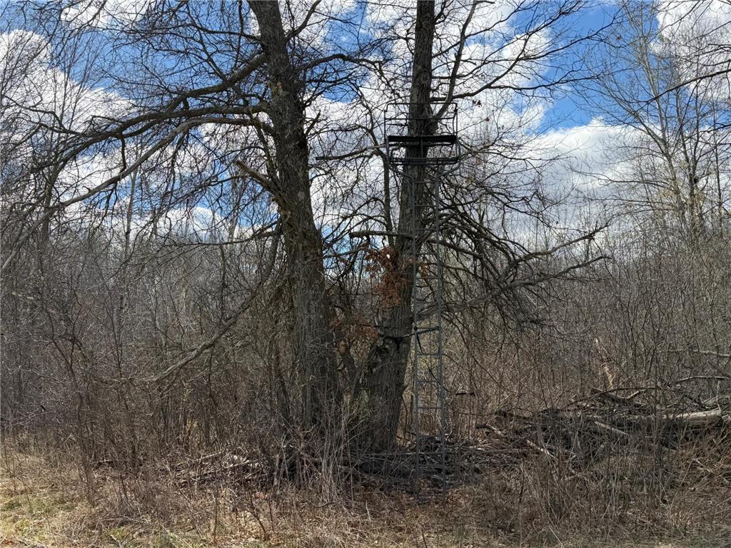 TBD County Road 144 Long Lake Twp MN 56401 7064329 image27