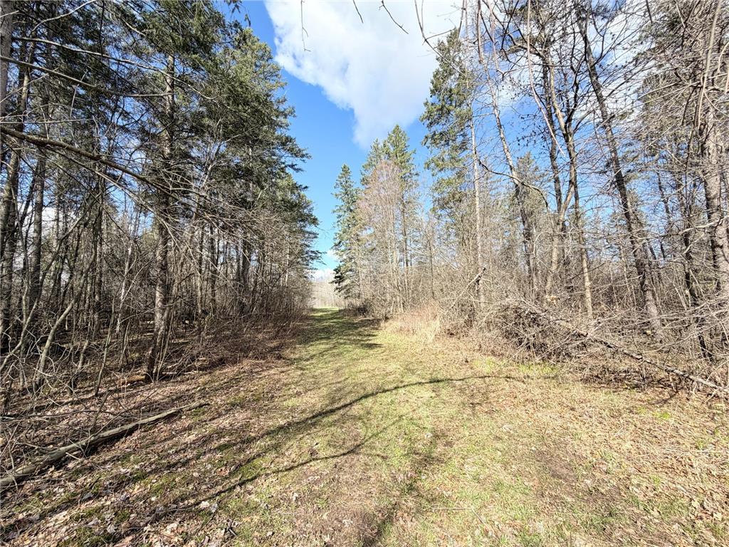 TBD County Road 144 Long Lake Twp MN 56401 7064329 image28