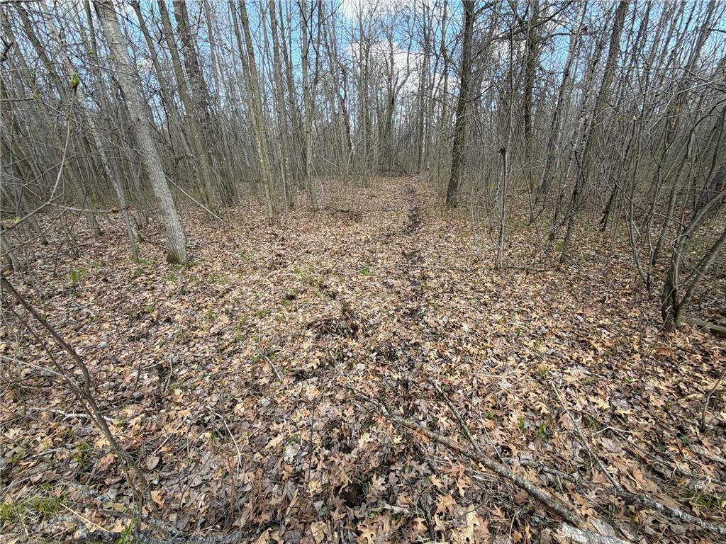 TBD County Road 144 Long Lake Twp MN 56401 7064329 image29