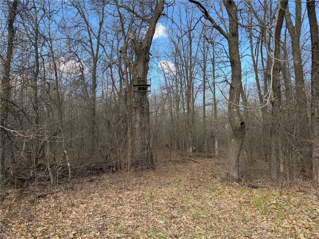 TBD County Road 144 Long Lake Twp MN 56401 7064329 image3