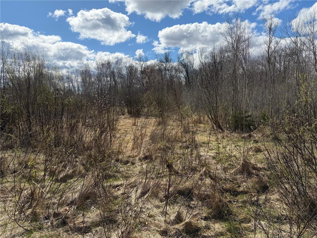 TBD County Road 144 Long Lake Twp MN 56401 7064329 image30