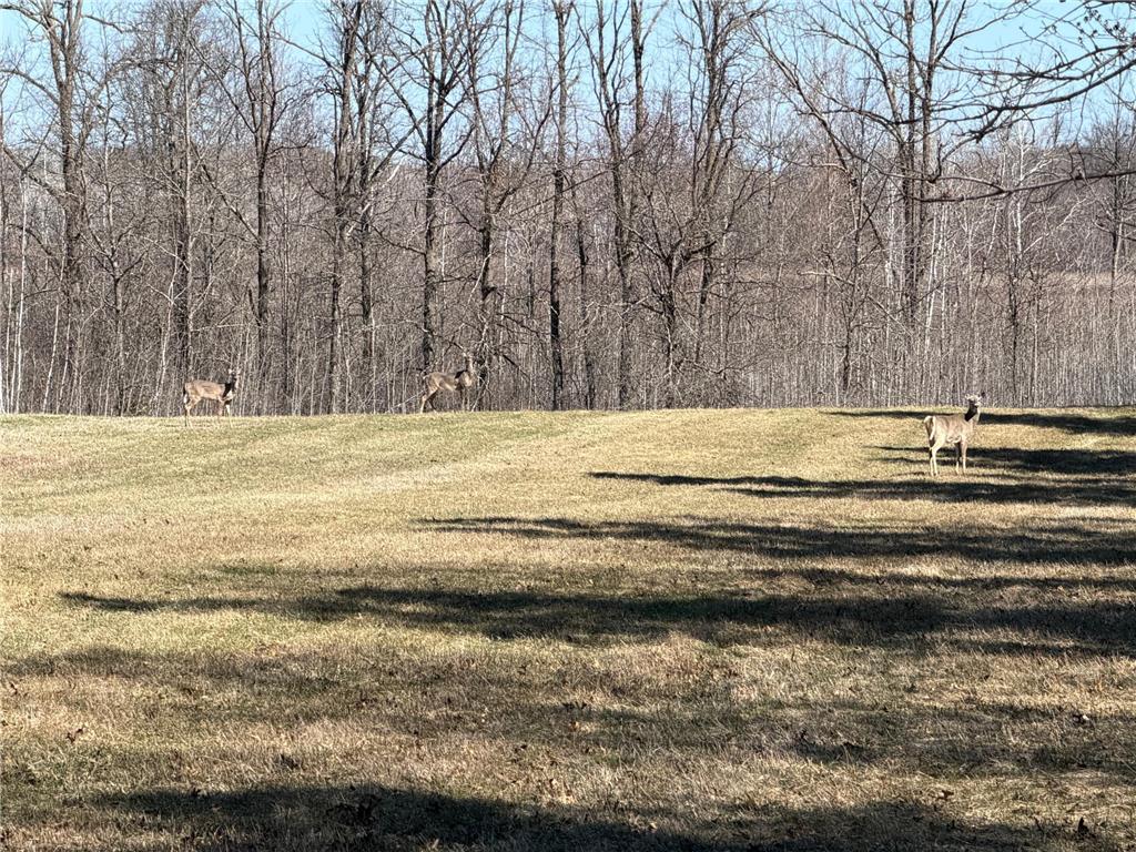 TBD County Road 144 Long Lake Twp MN 56401 7064329 image32