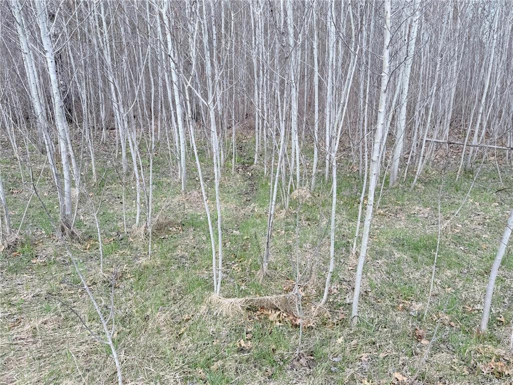 TBD County Road 144 Long Lake Twp MN 56401 7064329 image37