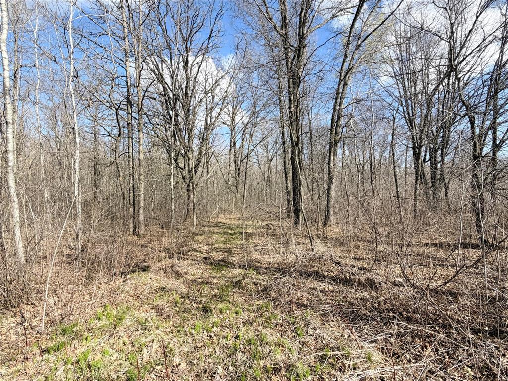 TBD County Road 144 Long Lake Twp MN 56401 7064329 image40