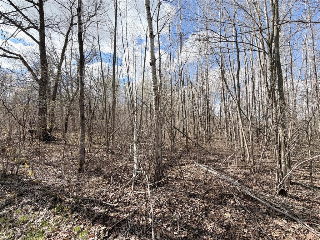TBD County Road 144 Long Lake Twp MN 56401 7064329 image41