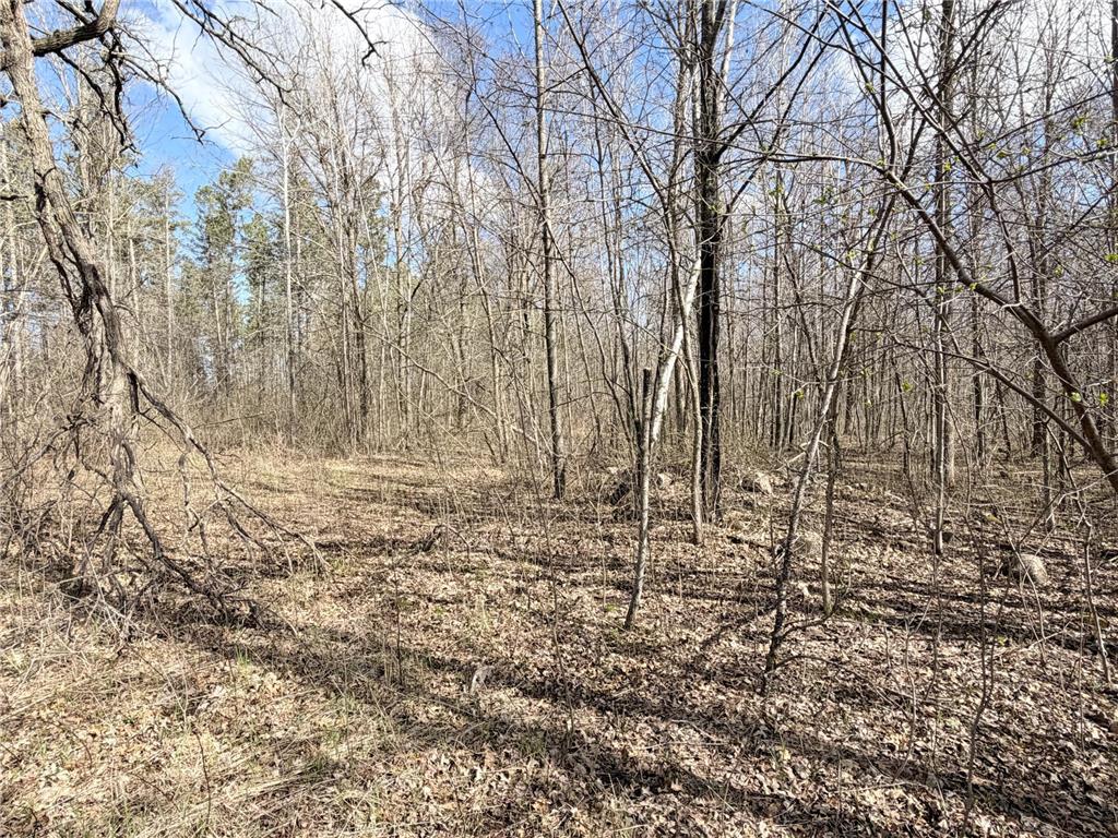 TBD County Road 144 Long Lake Twp MN 56401 7064329 image43