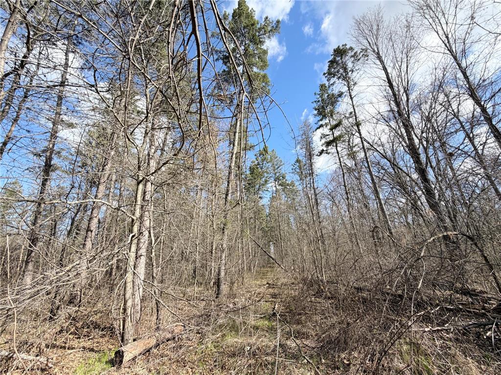 TBD County Road 144 Long Lake Twp MN 56401 7064329 image44