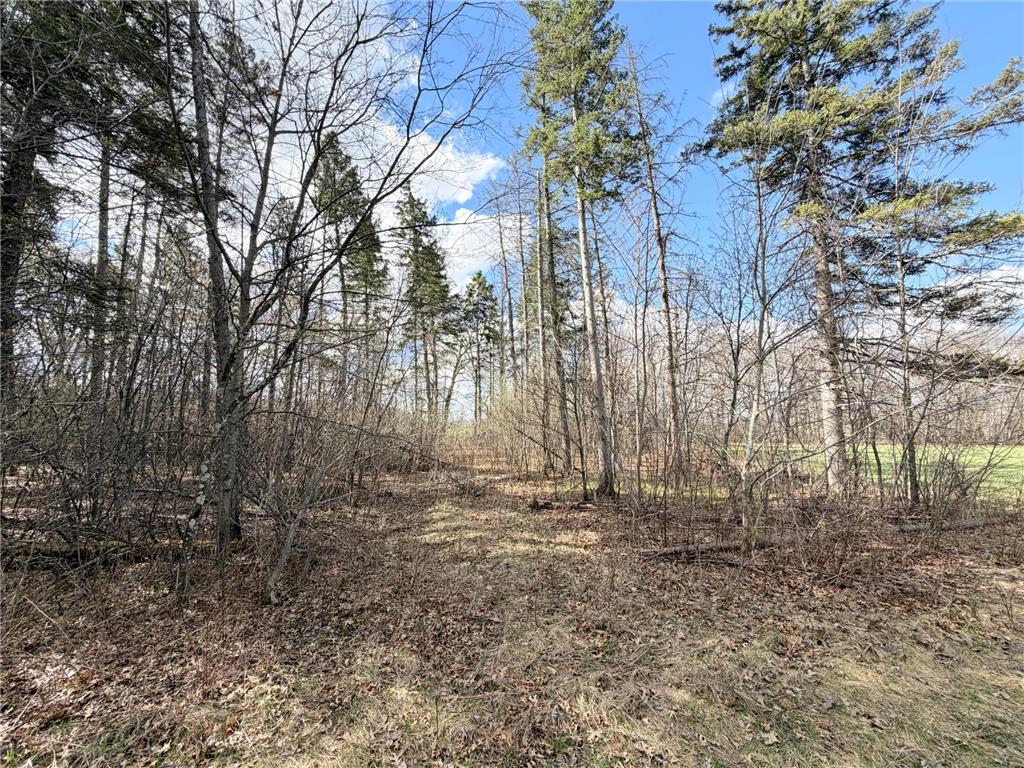 TBD County Road 144 Long Lake Twp MN 56401 7064329 image45