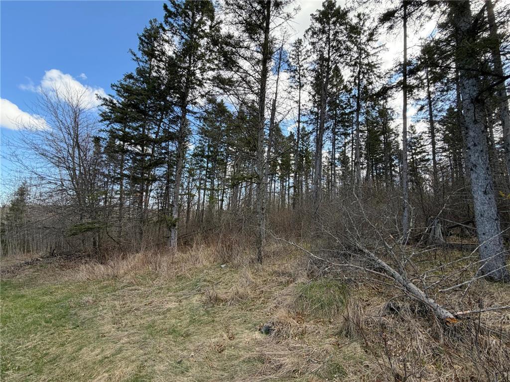 TBD County Road 144 Long Lake Twp MN 56401 7064329 image49