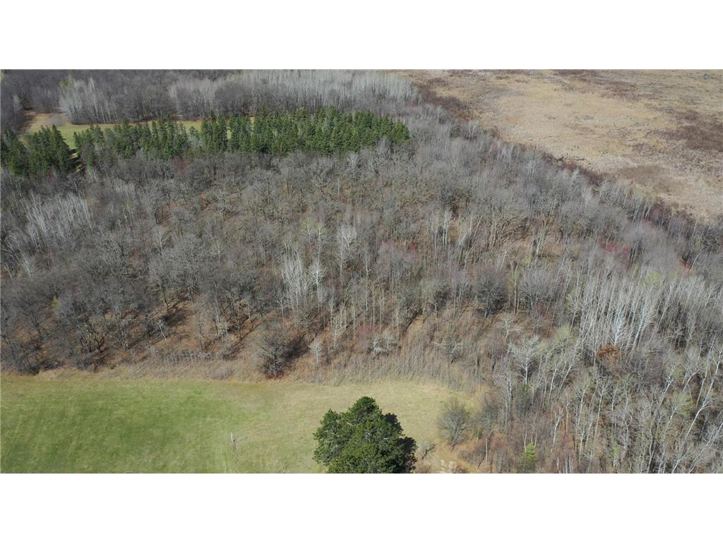 TBD County Road 144 Long Lake Twp MN 56401 7064329 image5