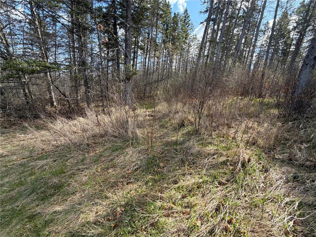TBD County Road 144 Long Lake Twp MN 56401 7064329 image50