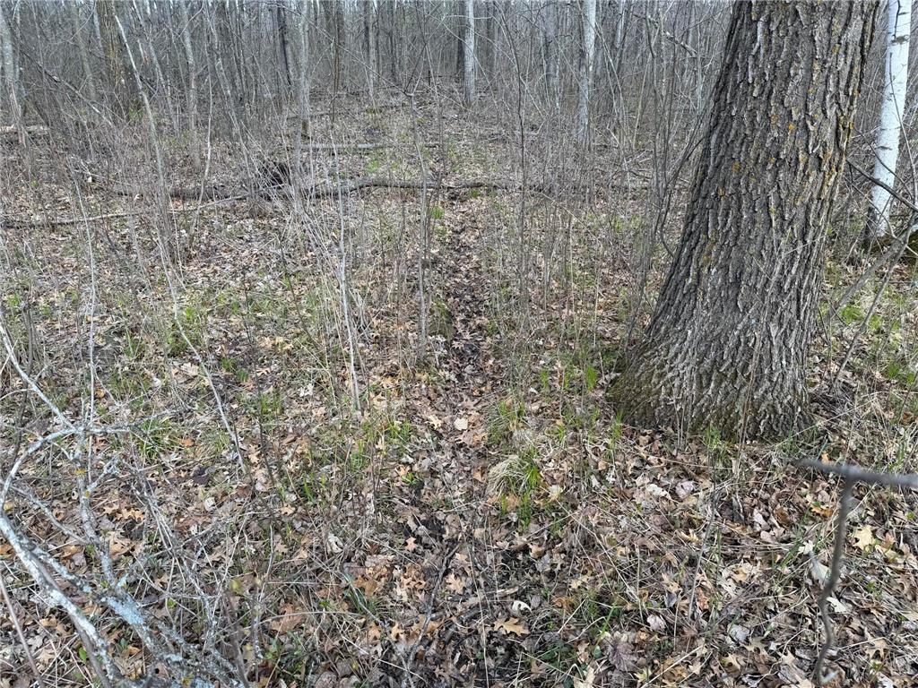 TBD County Road 144 Long Lake Twp MN 56401 7064329 image51
