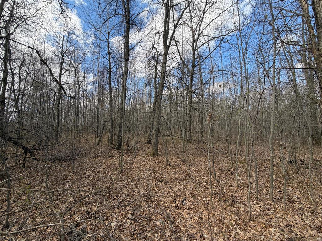 TBD County Road 144 Long Lake Twp MN 56401 7064329 image53