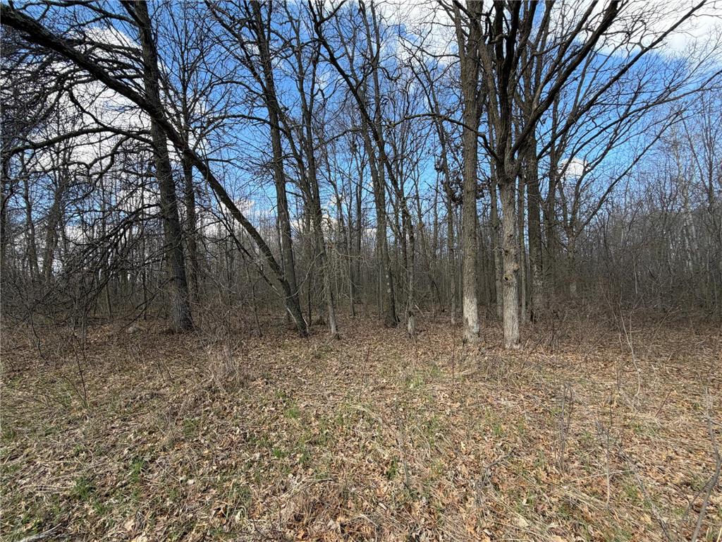 TBD County Road 144 Long Lake Twp MN 56401 7064329 image59