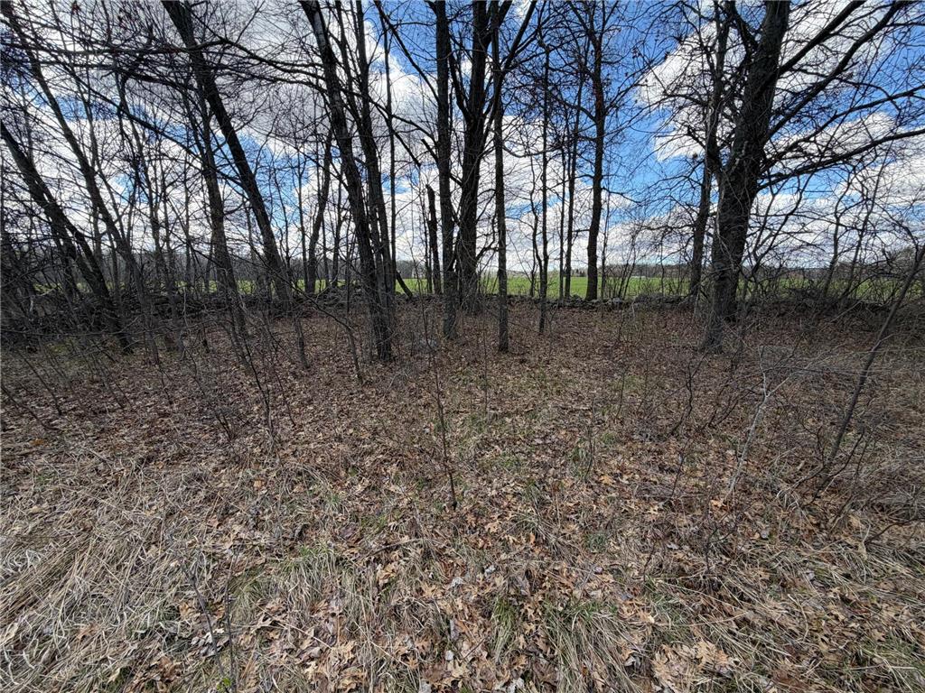 TBD County Road 144 Long Lake Twp MN 56401 7064329 image60