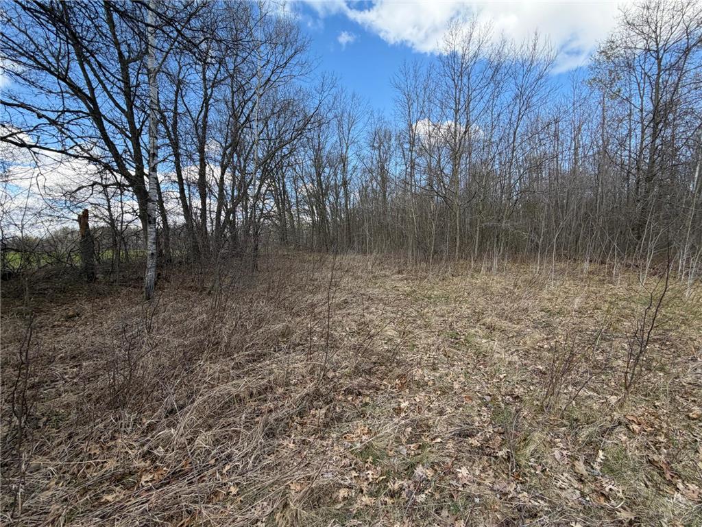 TBD County Road 144 Long Lake Twp MN 56401 7064329 image61