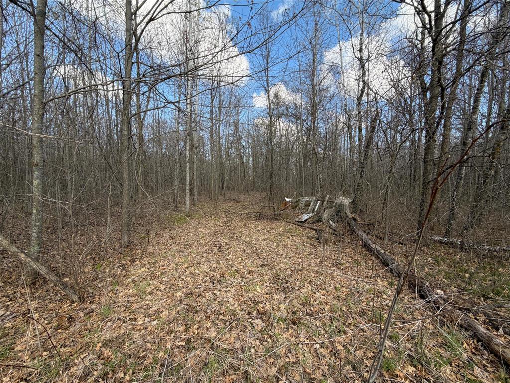 TBD County Road 144 Long Lake Twp MN 56401 7064329 image62