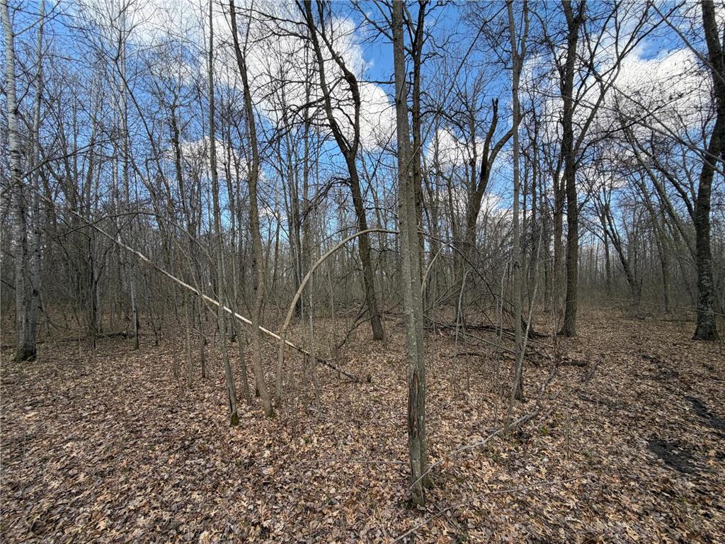 TBD County Road 144 Long Lake Twp MN 56401 7064329 image63