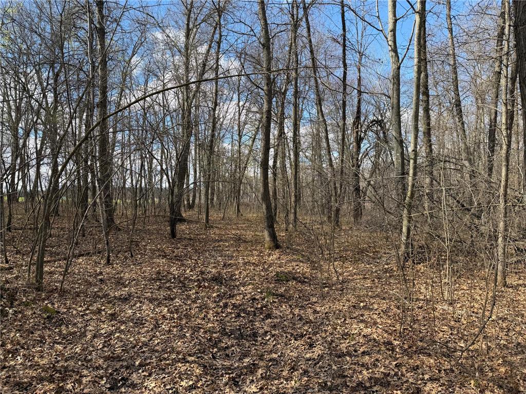 TBD County Road 144 Long Lake Twp MN 56401 7064329 image64