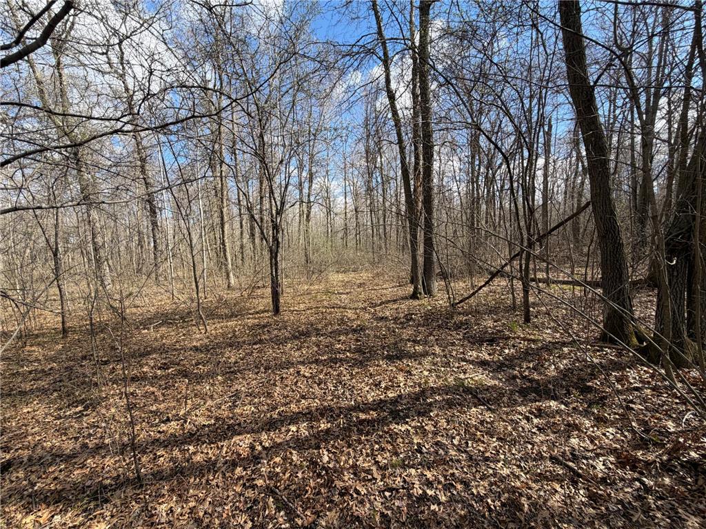 TBD County Road 144 Long Lake Twp MN 56401 7064329 image65