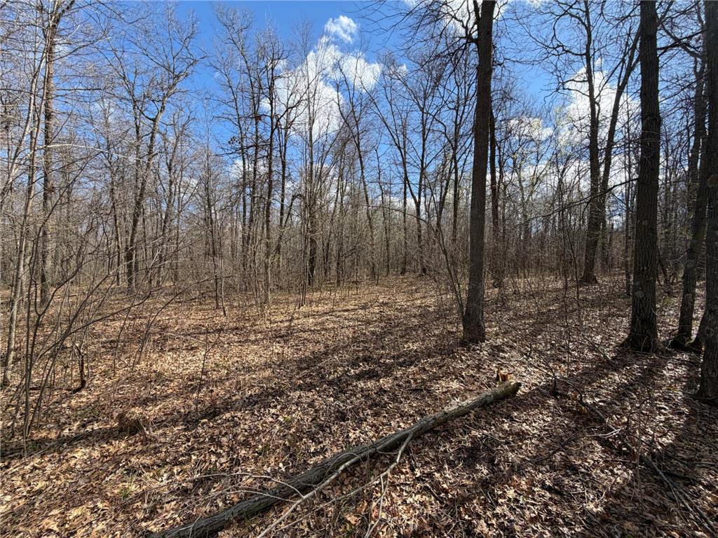 TBD County Road 144 Long Lake Twp MN 56401 7064329 image66