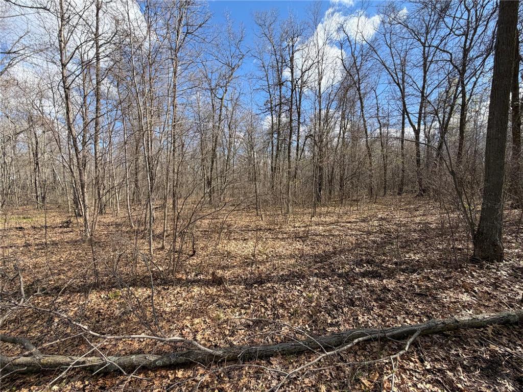 TBD County Road 144 Long Lake Twp MN 56401 7064329 image67