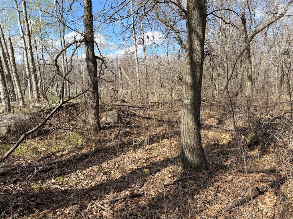 TBD County Road 144 Long Lake Twp MN 56401 7064329 image68