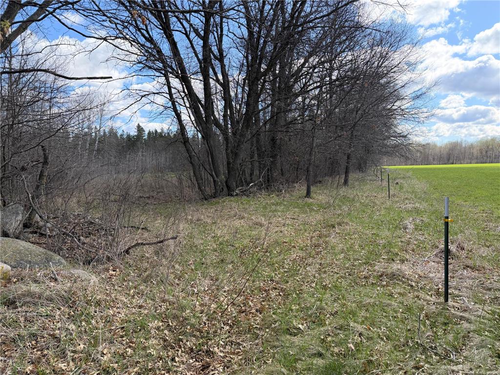 TBD County Road 144 Long Lake Twp MN 56401 7064329 image69