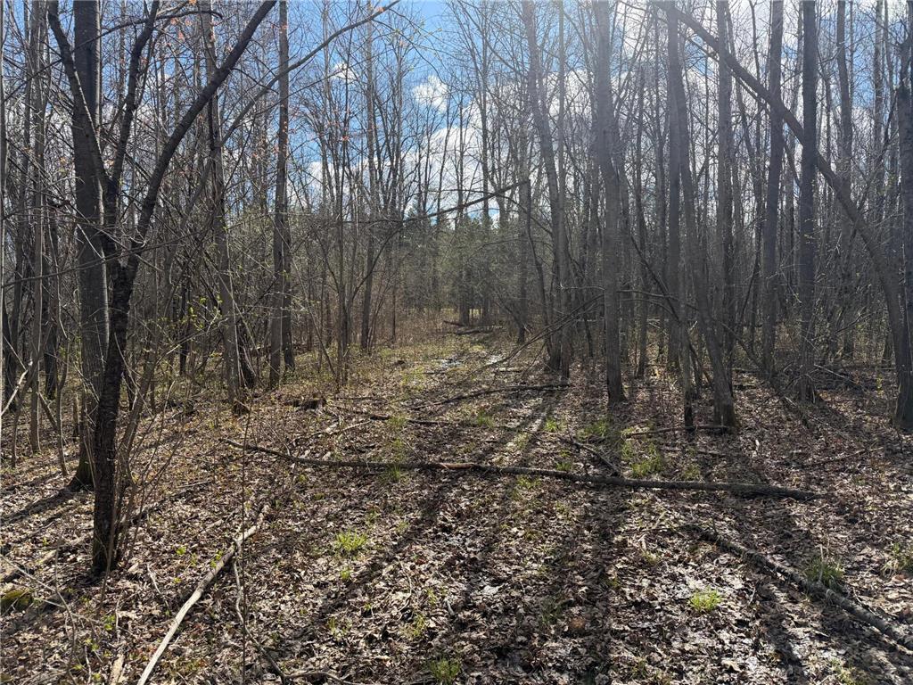 TBD County Road 144 Long Lake Twp MN 56401 7064329 image73
