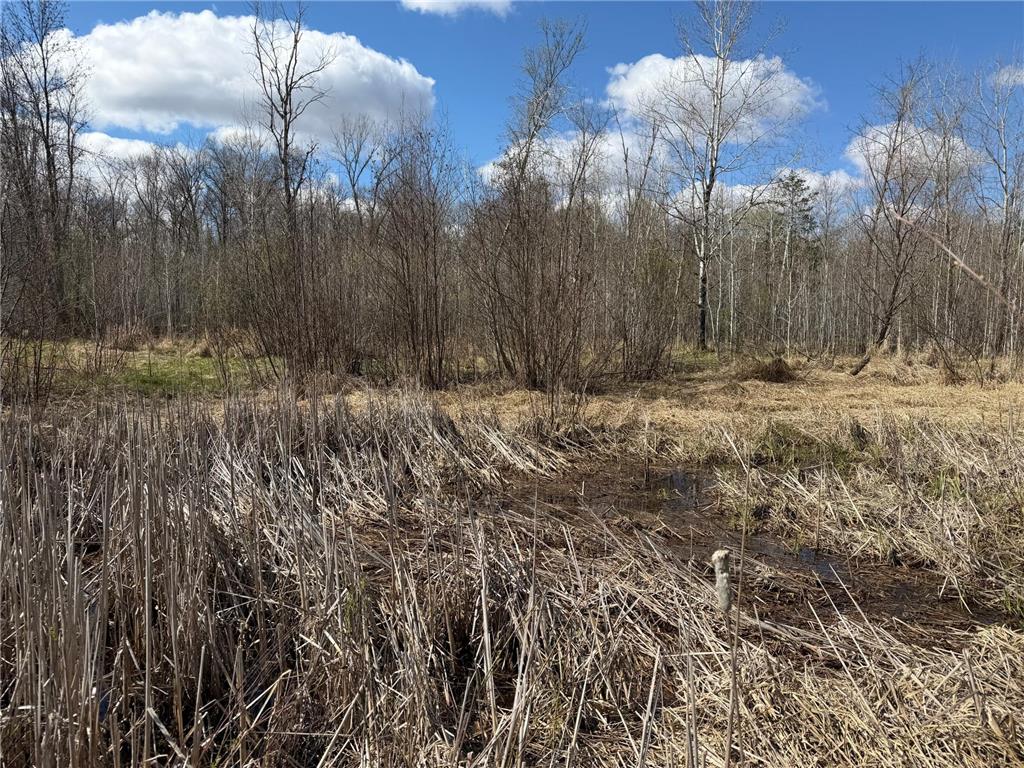 TBD County Road 144 Long Lake Twp MN 56401 7064329 image77