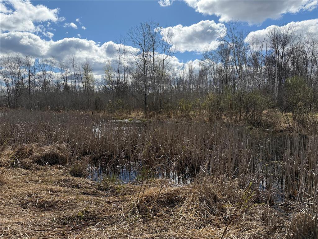 TBD County Road 144 Long Lake Twp MN 56401 7064329 image78
