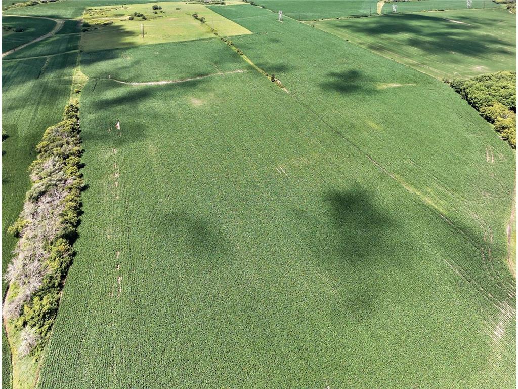 TBD County Road 149 Rock Dell Twp MN 55940 6809892 image21