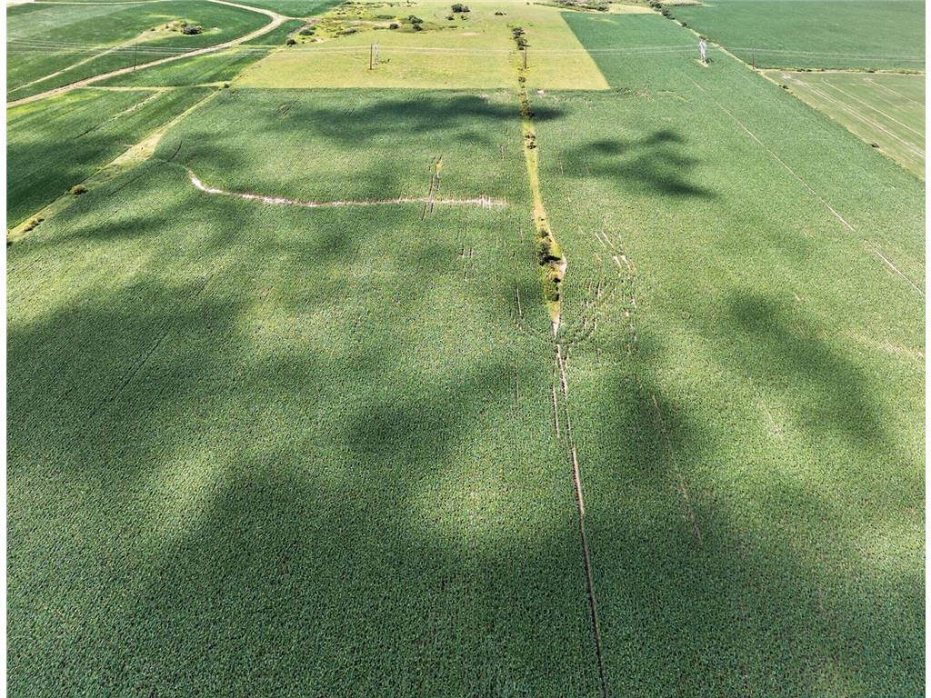 TBD County Road 149 Rock Dell Twp MN 55940 6809892 image22