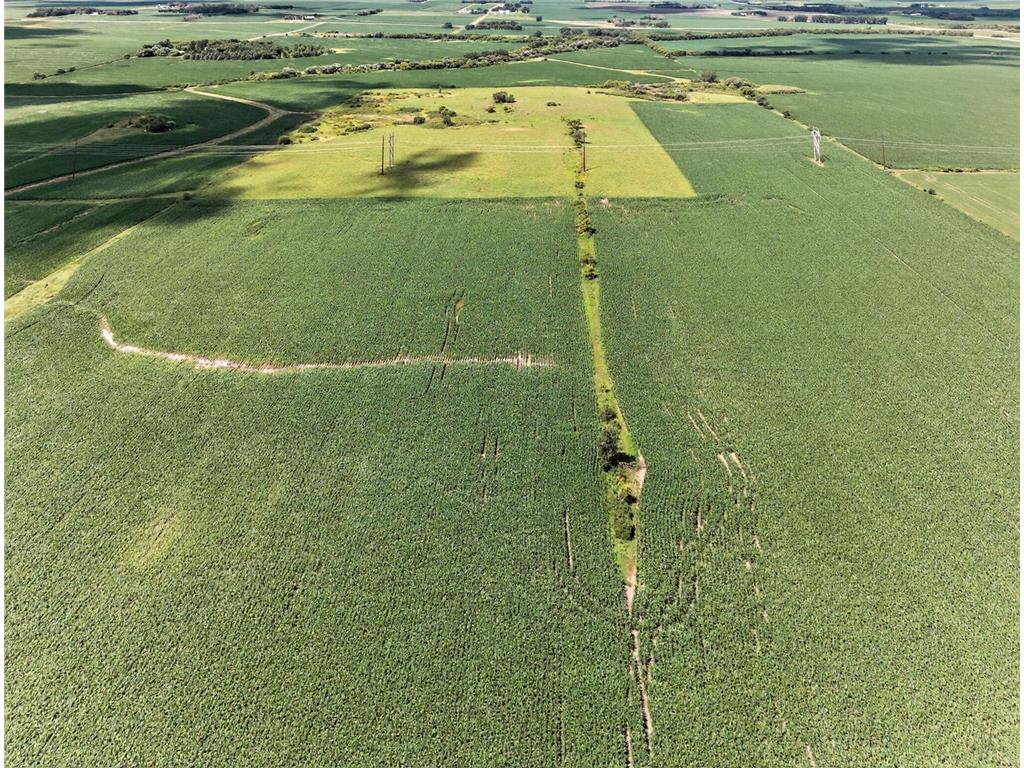 TBD County Road 149 Rock Dell Twp MN 55940 6809892 image23