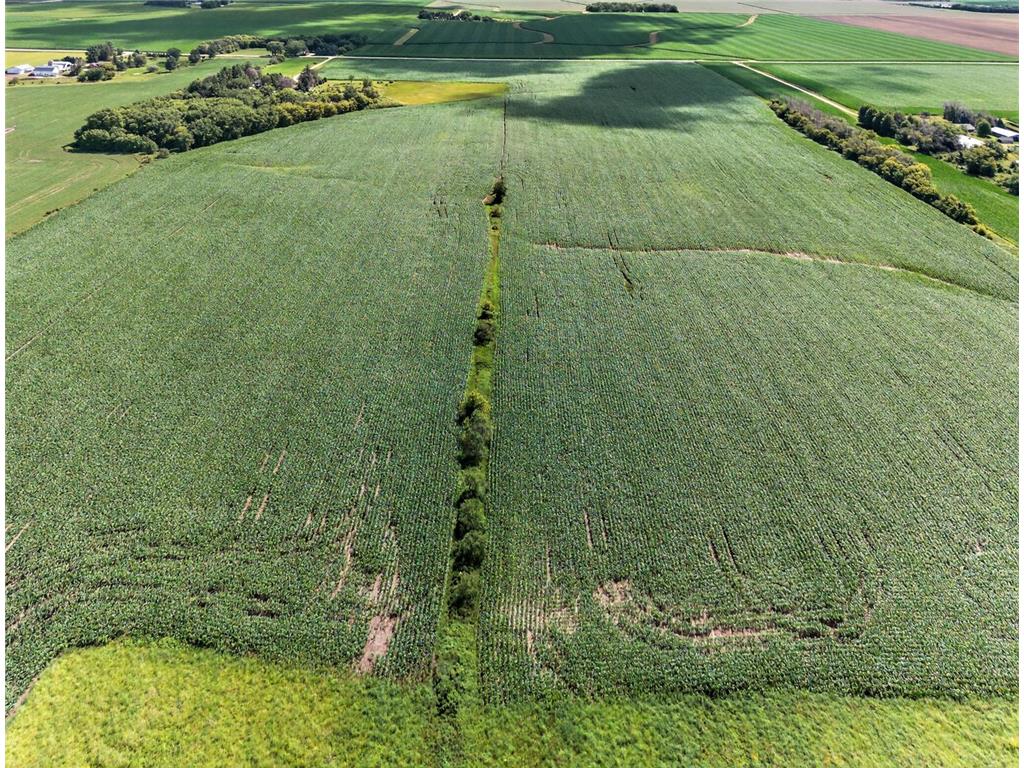 TBD County Road 149 Rock Dell Twp MN 55940 6809892 image24