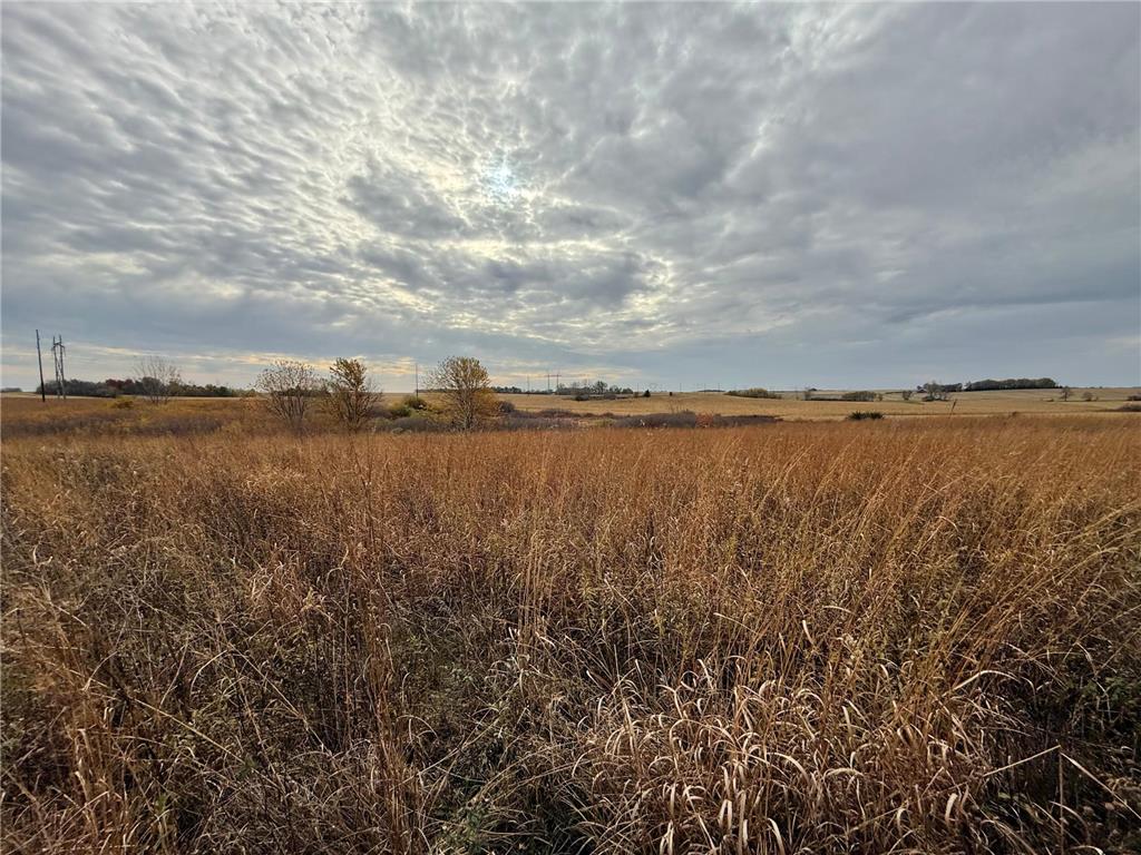 TBD County Road 149 Rock Dell Twp MN 55940 6809892 image29