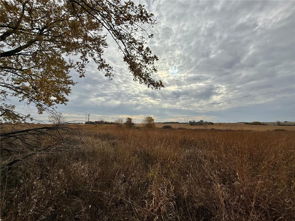 TBD County Road 149 Rock Dell Twp MN 55940 6809892 image31