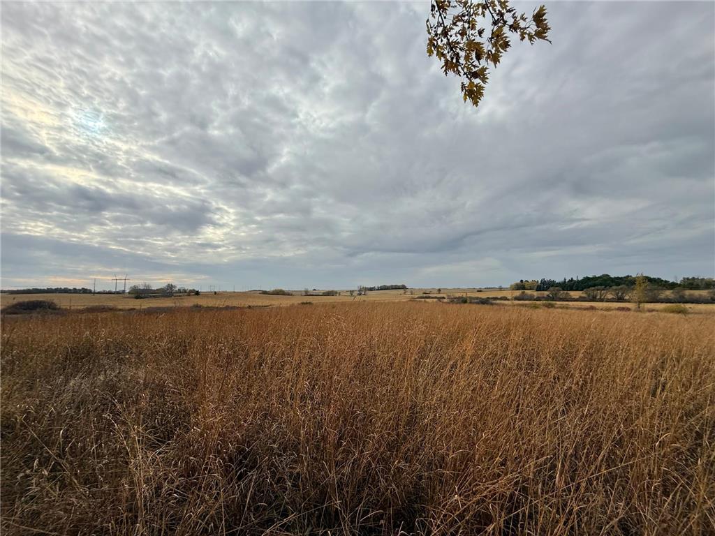 TBD County Road 149 Rock Dell Twp MN 55940 6809892 image32