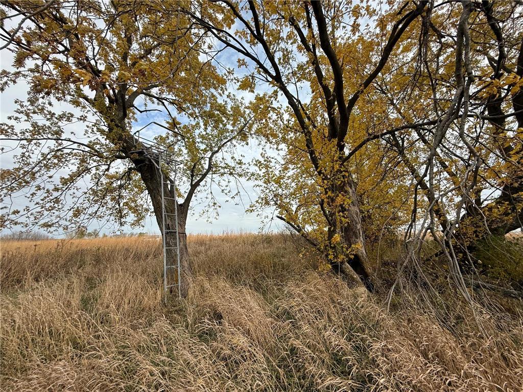 TBD County Road 149 Rock Dell Twp MN 55940 6809892 image33