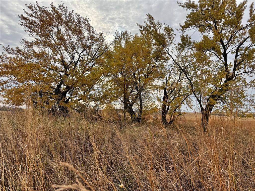 TBD County Road 149 Rock Dell Twp MN 55940 6809892 image34