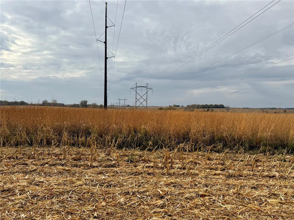 TBD County Road 149 Rock Dell Twp MN 55940 6809892 image35